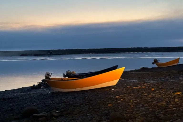 The Dulse Collectors