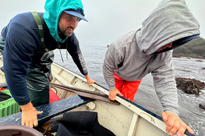 Gallery page image 6 featuring the Dark Harbour team preparing for the Atlantic dulse harvest