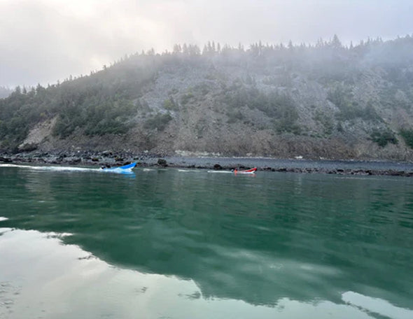 Gallery page image 9 showing the scenic Bay of Fundy coastline near the Dark Harbour harvest area