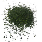 Organic Sea Lettuce Flakes(top)