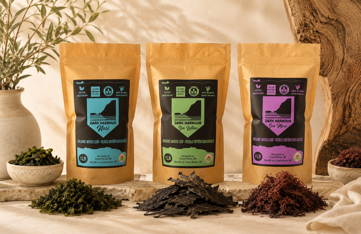 Dark Harbour Nori, Sea Lettuce, and Sea Moss organic seaweed pouches (1LB) displayed together