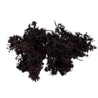Organic Whole Leaf Irish Moss