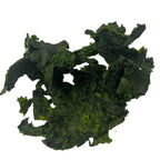 Organic Whole Leaf Sea Lettuce 