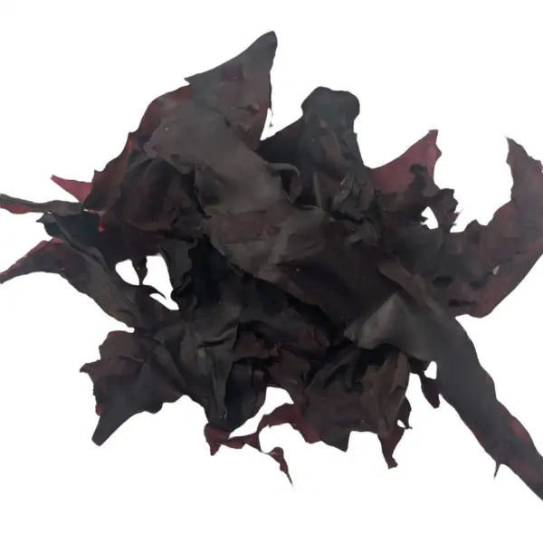 Whole_Leaf_dulse