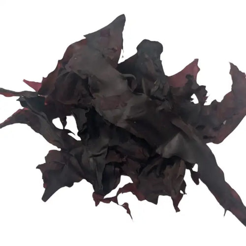 Whole_Leaf_dulse