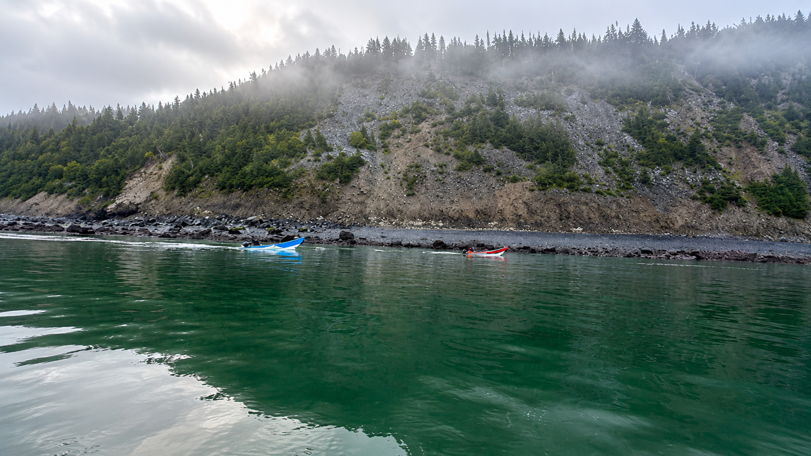 Homepage video cover image showing the Bay of Fundy coastline near the Dark Harbour harvest area