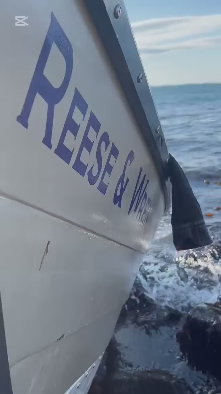 Homepage video of the Dark Harbour team harvesting fresh Atlantic dulse by hand