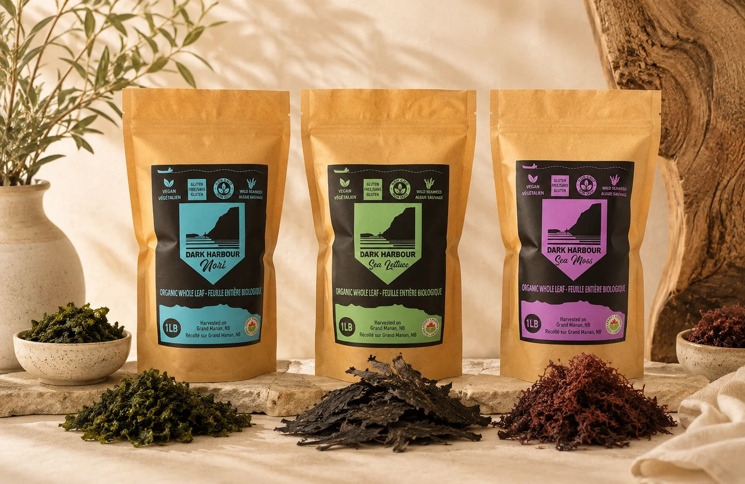 Dark Harbour Nori, Sea Lettuce, and Sea Moss organic seaweed pouches (1LB) displayed together